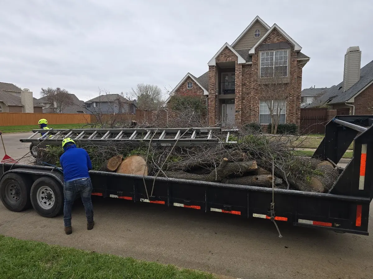 Expert Tree Pest Control with proper safety equipment in Sussex